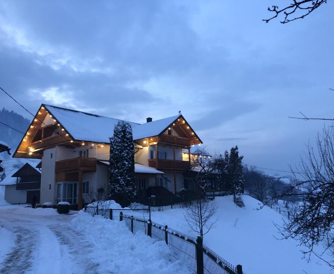 Pensiunea Casa-Stefanel Sadova  Exteriér fotografie