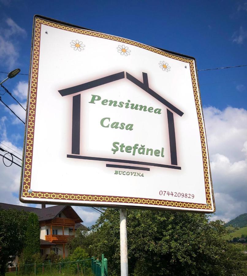 Pensiunea Casa-Stefanel Sadova  Exteriér fotografie