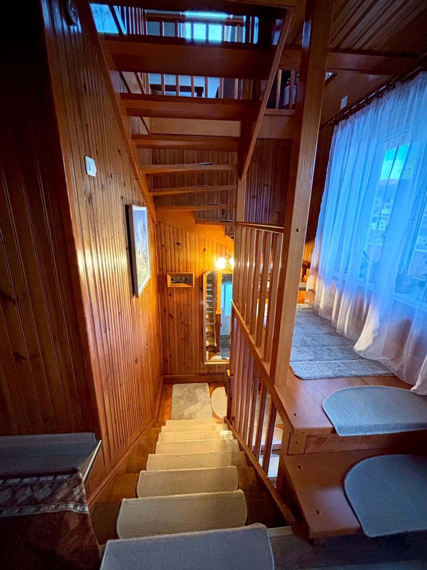 Pensiunea Casa-Stefanel Sadova  Exteriér fotografie