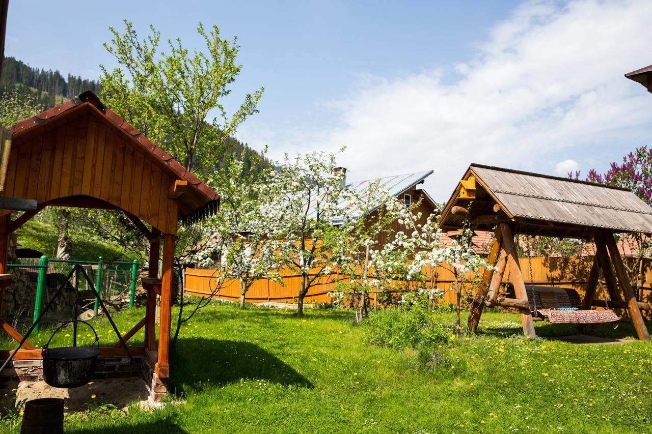 Pensiunea Casa-Stefanel Sadova  Exteriér fotografie