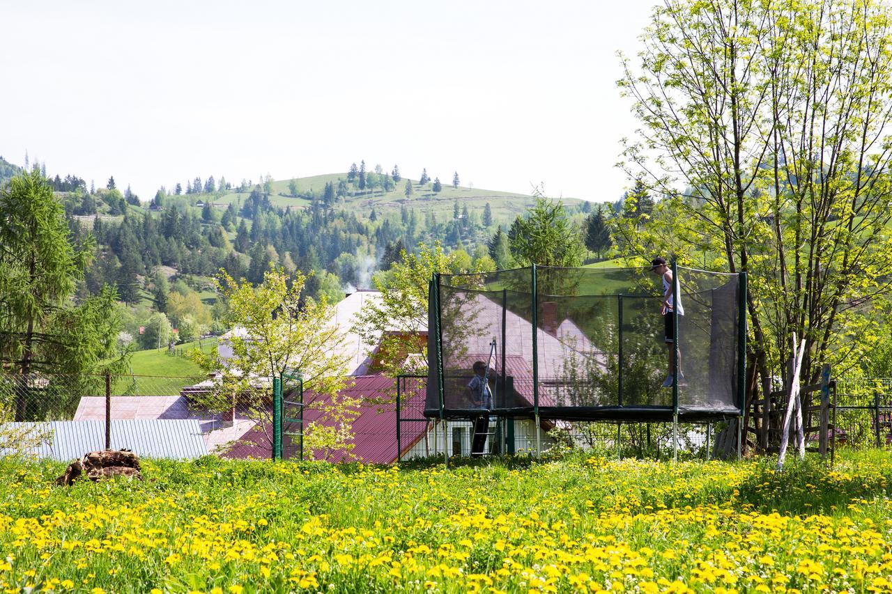 Pensiunea Casa-Stefanel Sadova  Exteriér fotografie